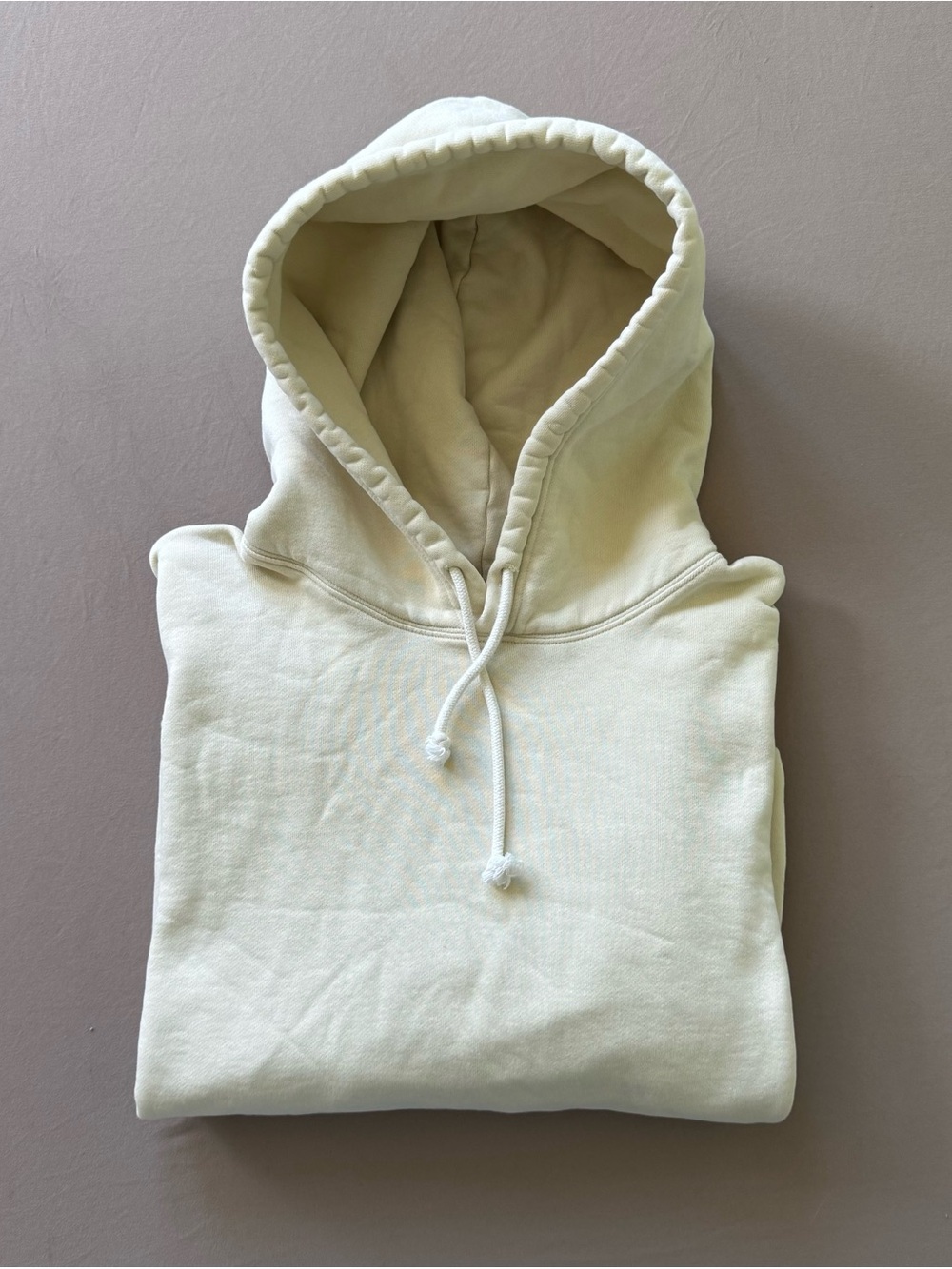 Aritzia Tna Cozy Fleece Boyfriend Hoodie